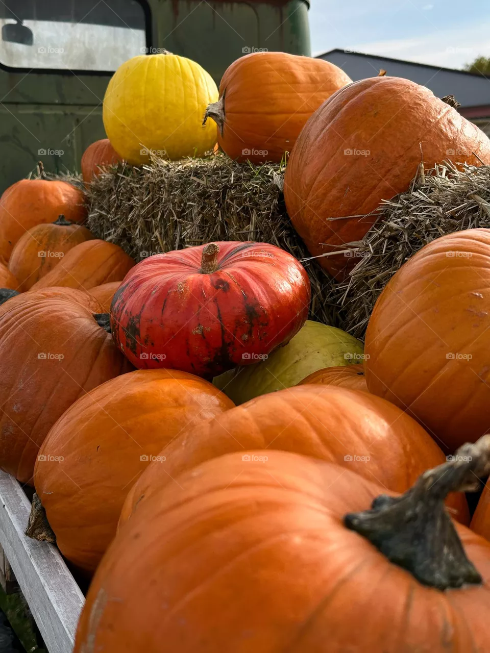 Pumpkins