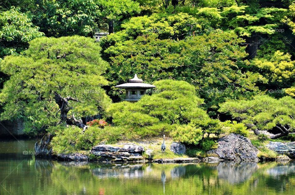 Beautiful Japanese garden