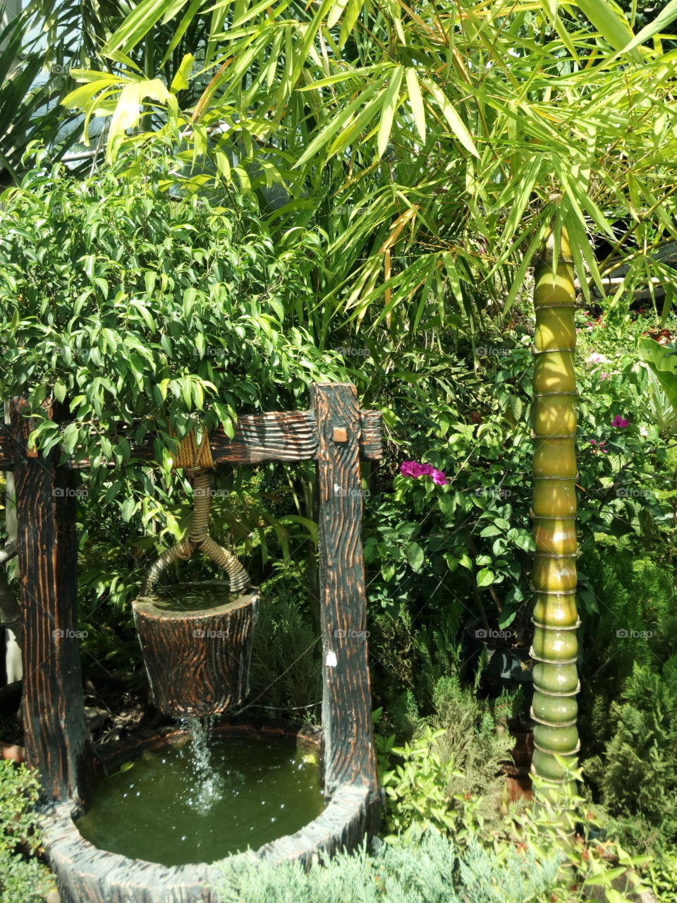 THE BAMBOO AND THE WELL