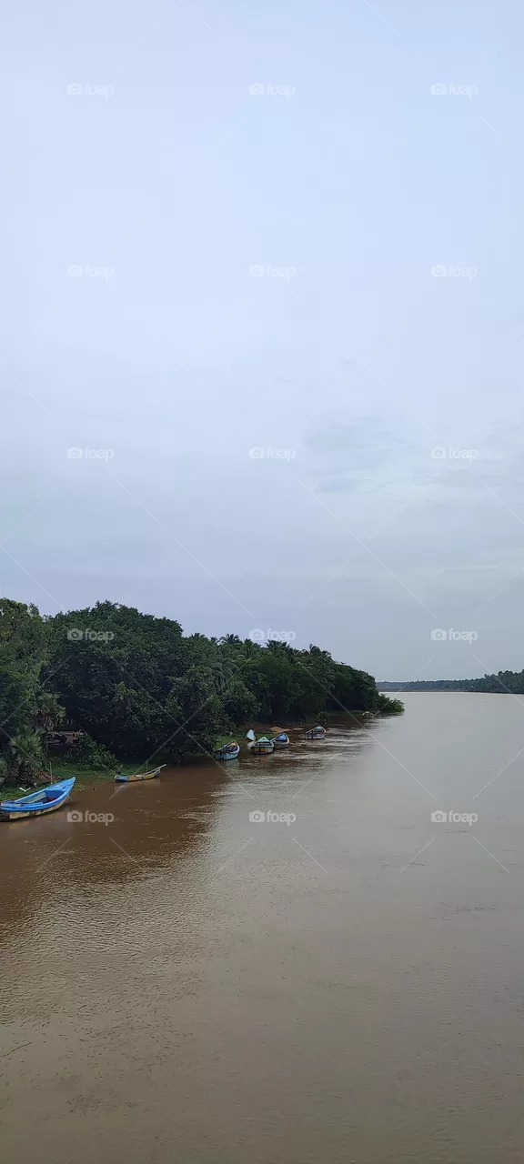 The River Godavari, Andhra Pradesh, INDIA