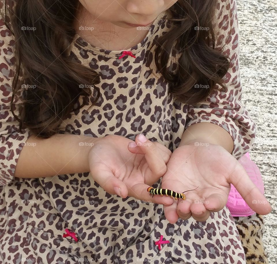 Studying a caterpillar