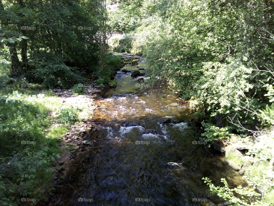 River in Bad Wildbad