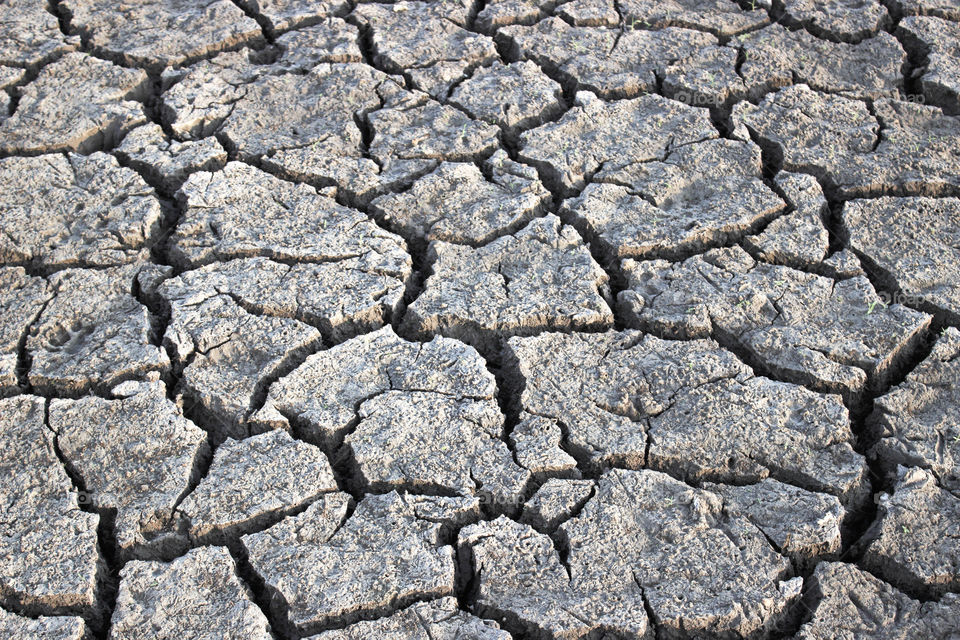 Drought, Arid, Wasteland, Ground, Mud
