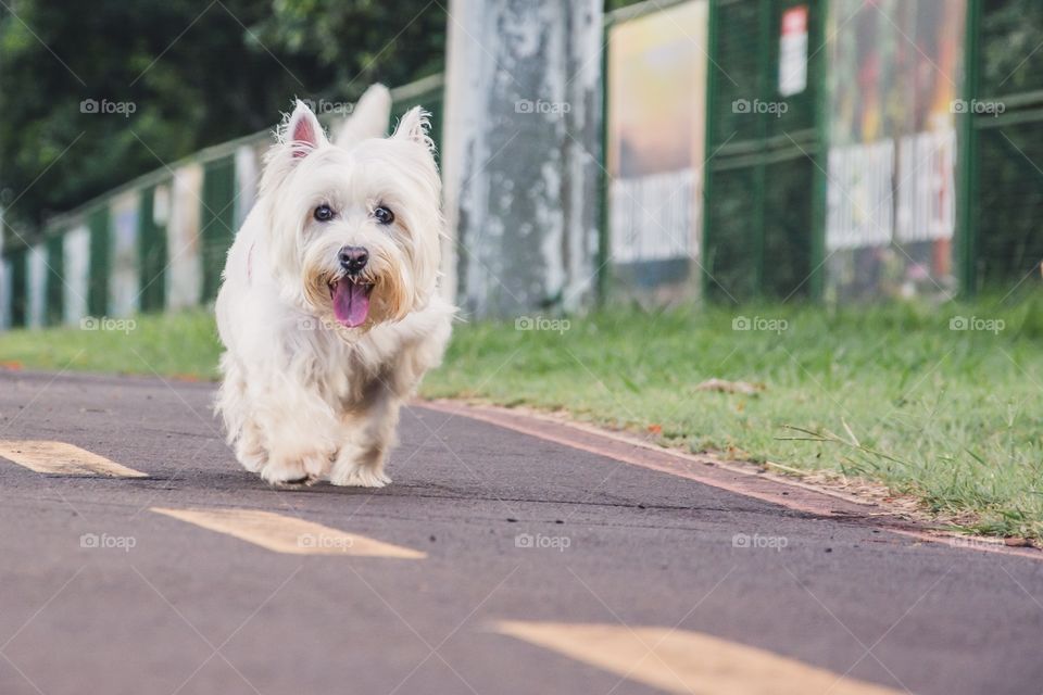 It’s spring and we love it