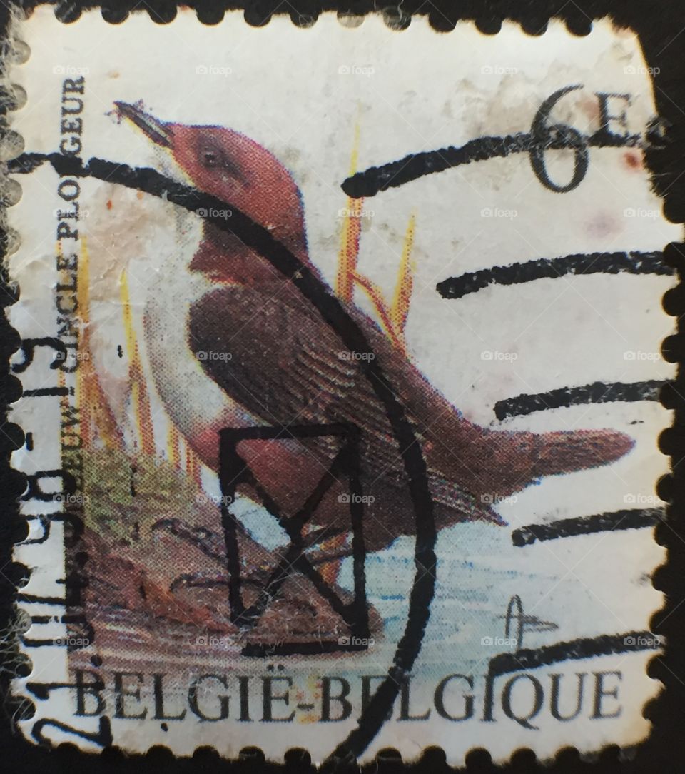 Post, Bird, Print, Stamp, Letter