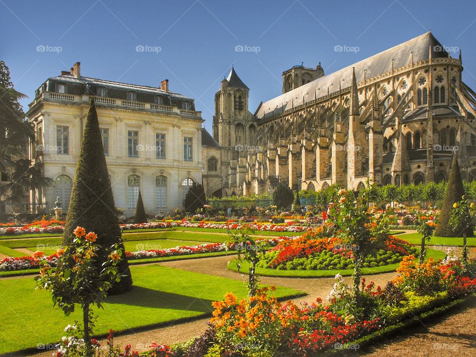 Bourges . Cathedral 