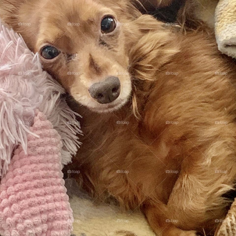 My beautiful Charlie angel ❤️