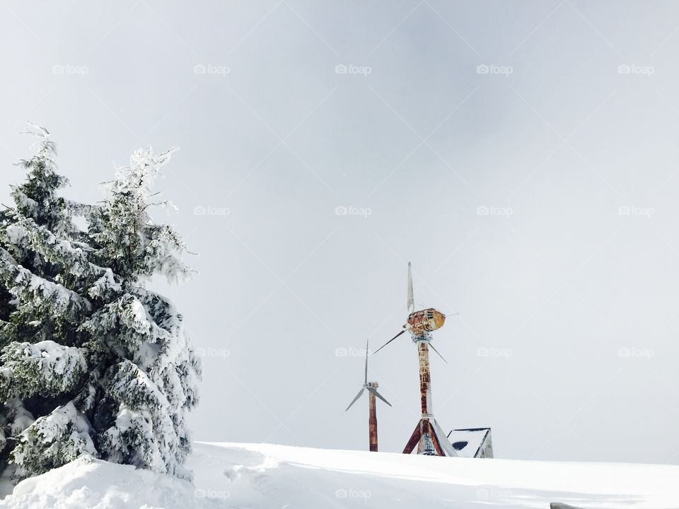 Wind turbins surrounded by snow and evergreen trees
