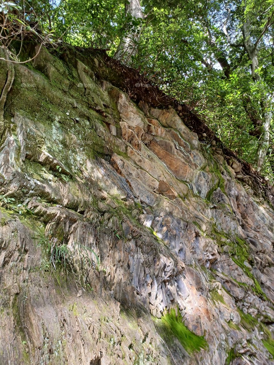 Shale rocks covered with moss.