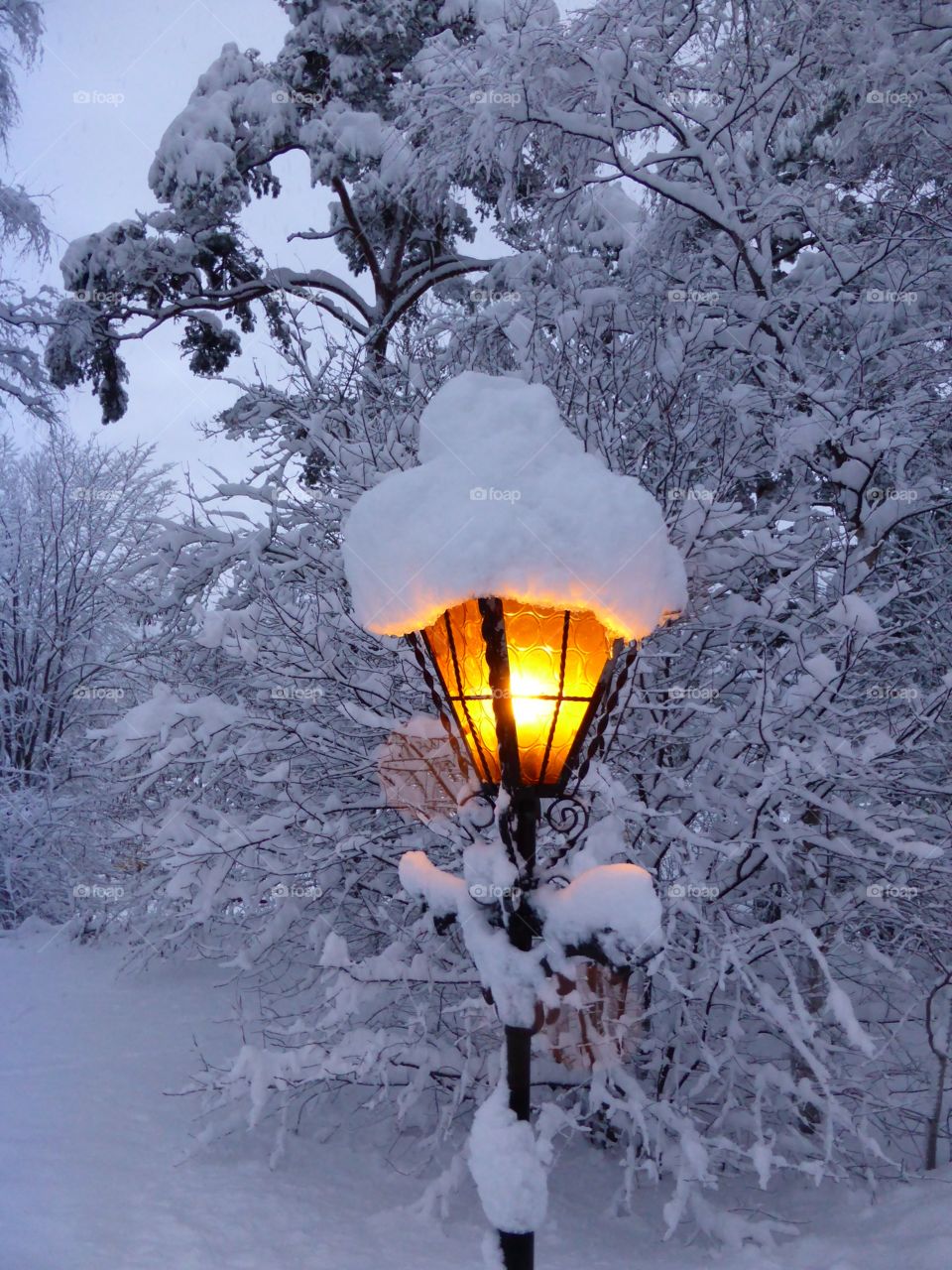 Street light covered with snow