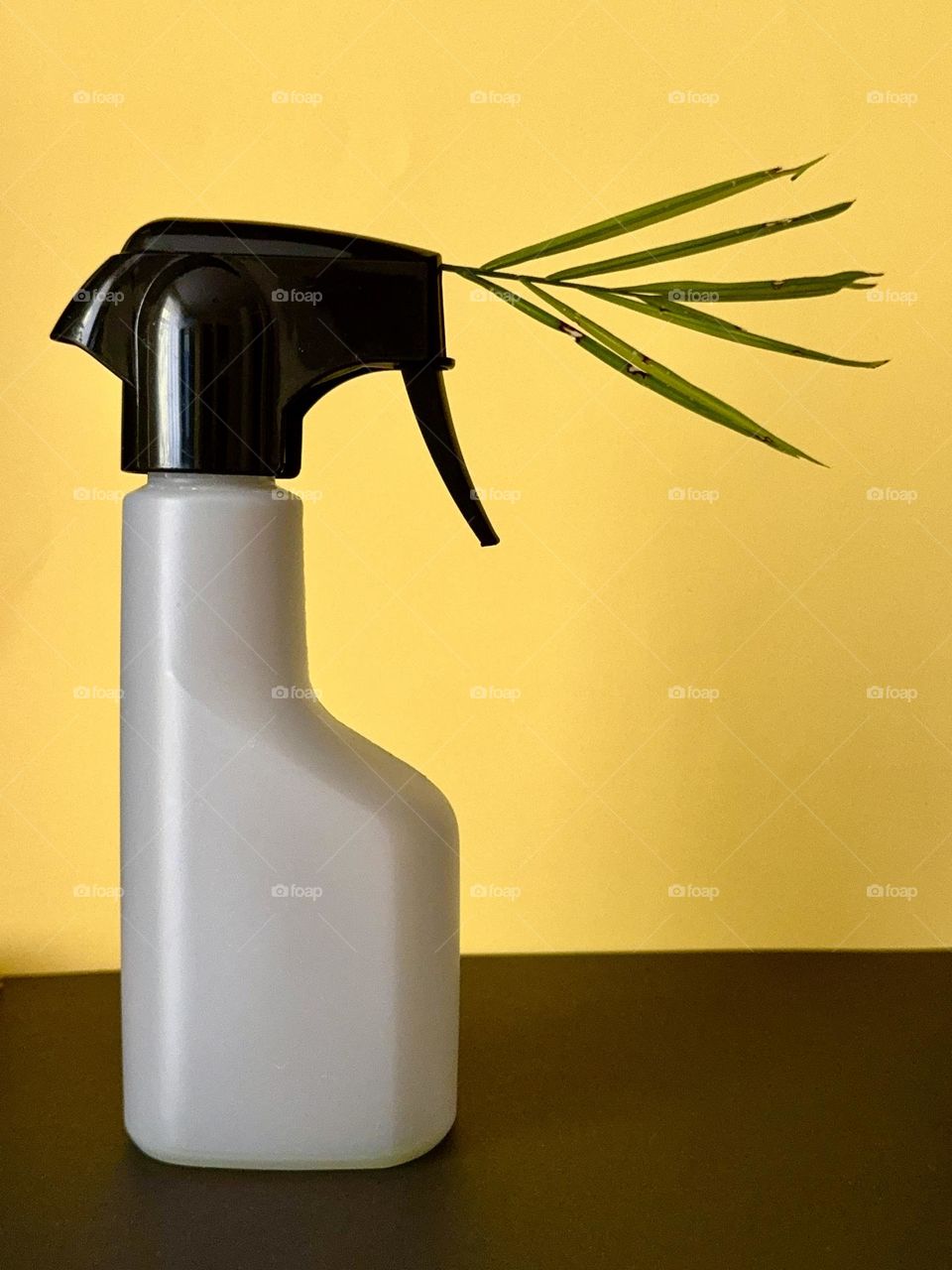 Dispenser with palm leaf on yellow background