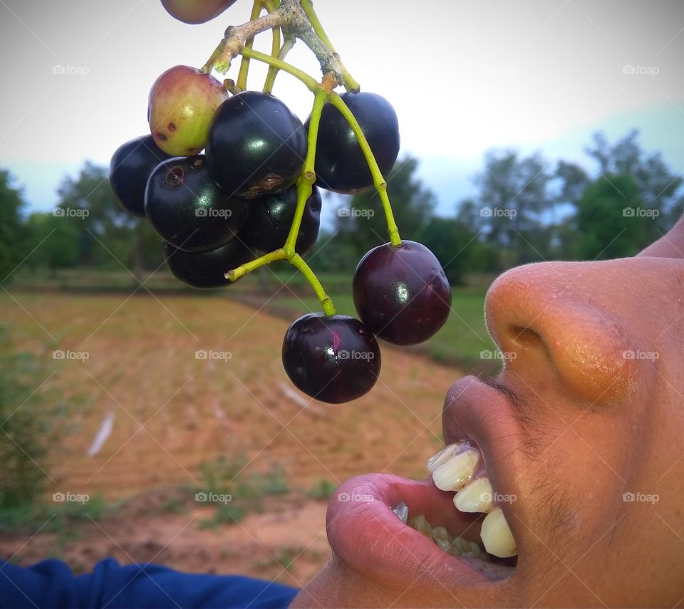 tasting the fresh blackberry