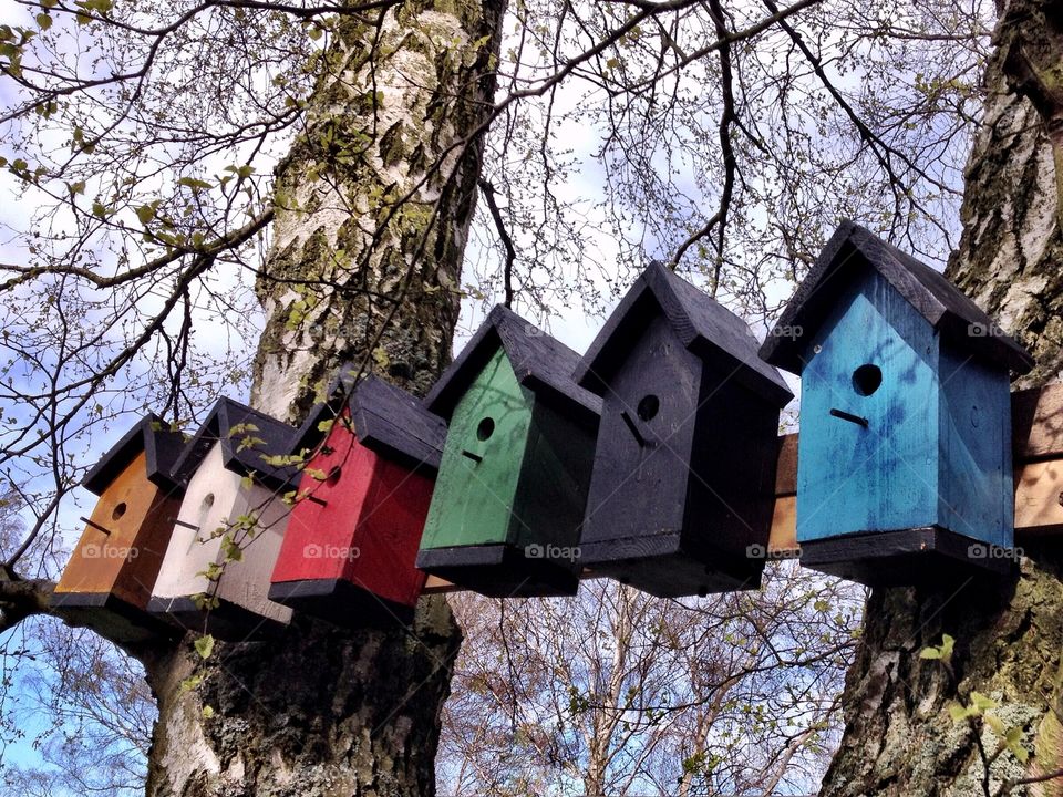 Birdhouses in a row