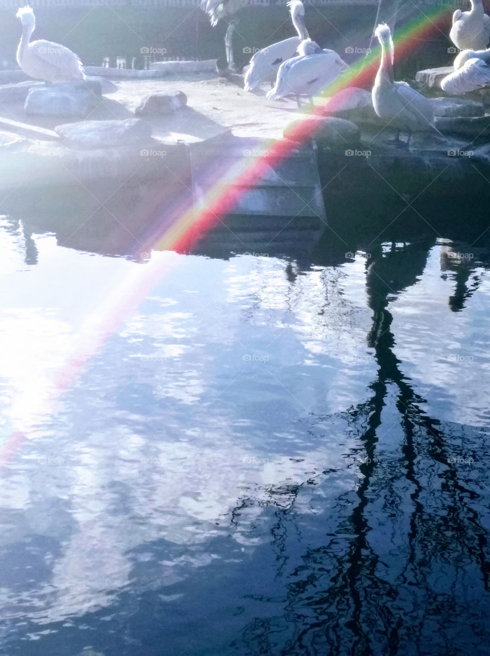 Tolle Anblick wenn du im Wasser Regenbogen siehst.