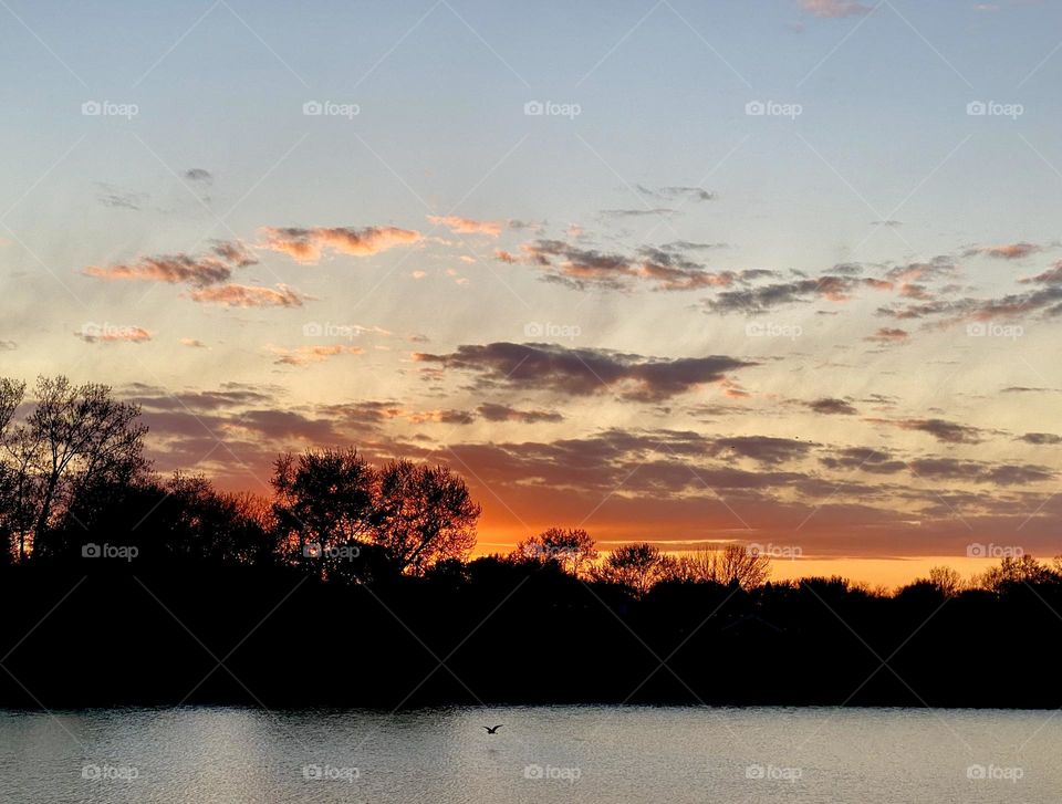 Gorgeous countryside sunset with bird flying over pond 