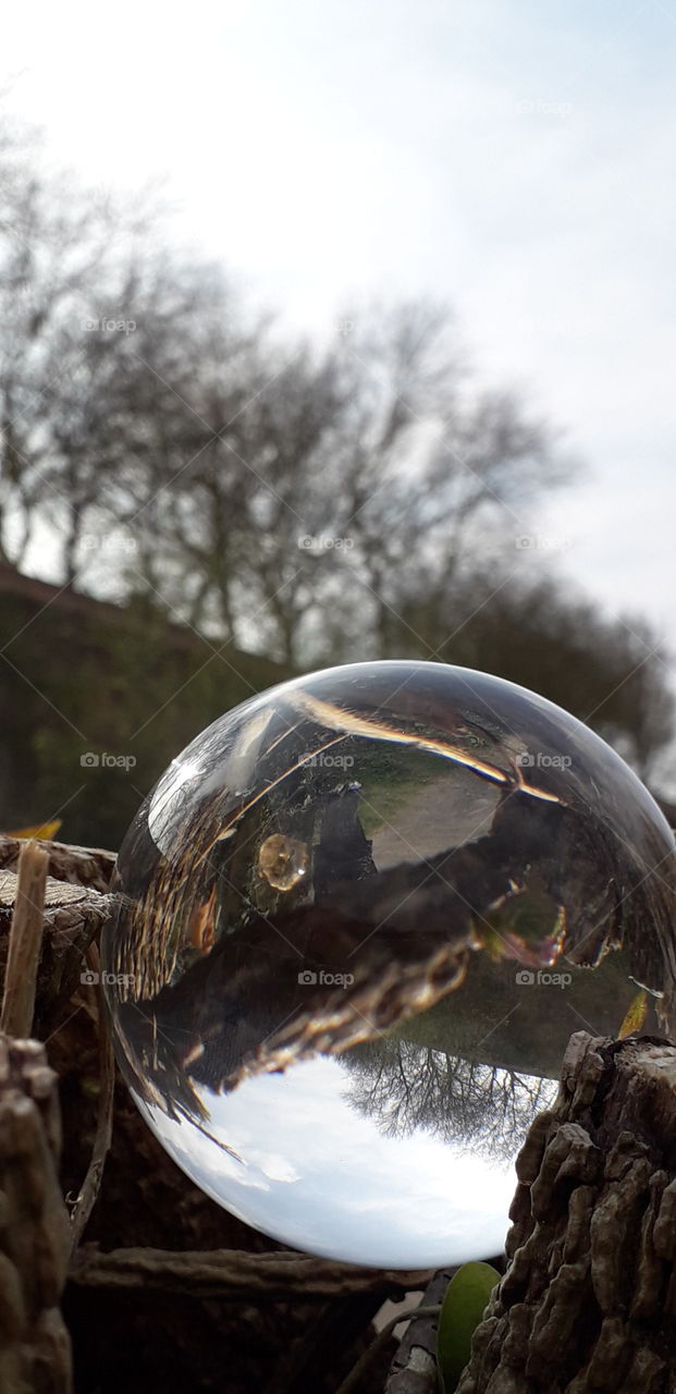 bosquet avec reflet de boule