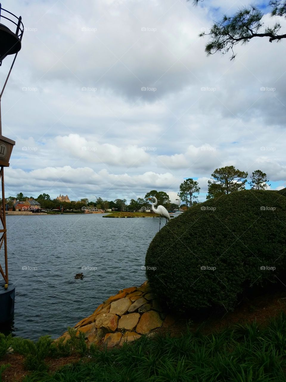 Landscape, Tree, Water, No Person, People