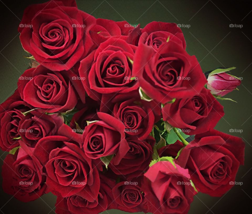 Red roses