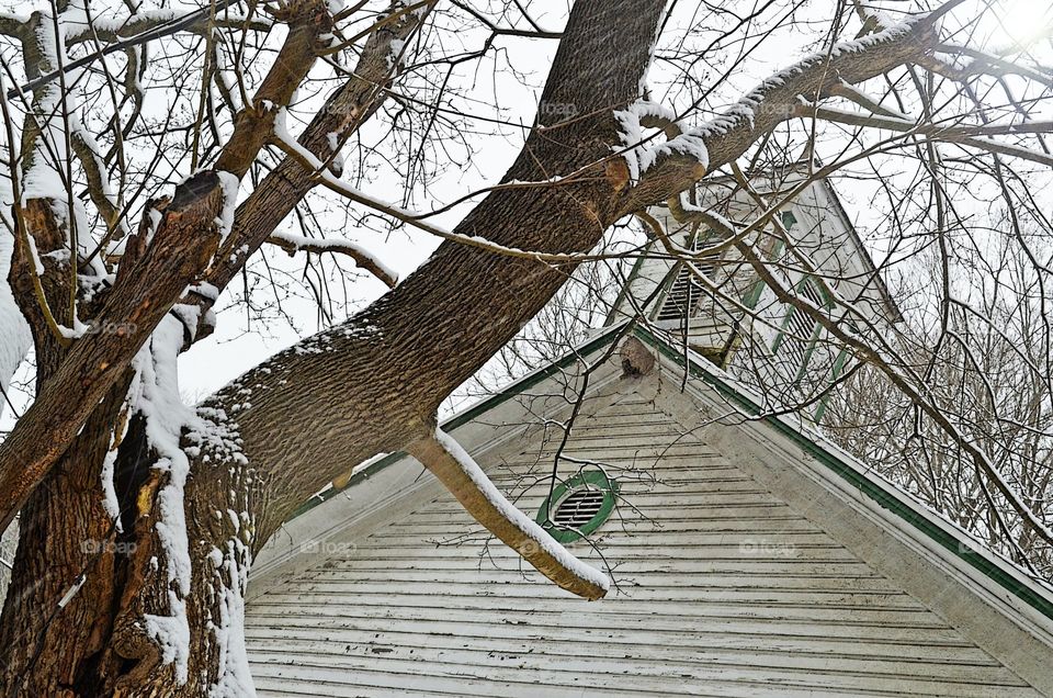 Take the Nostalgic Way Home (Series)