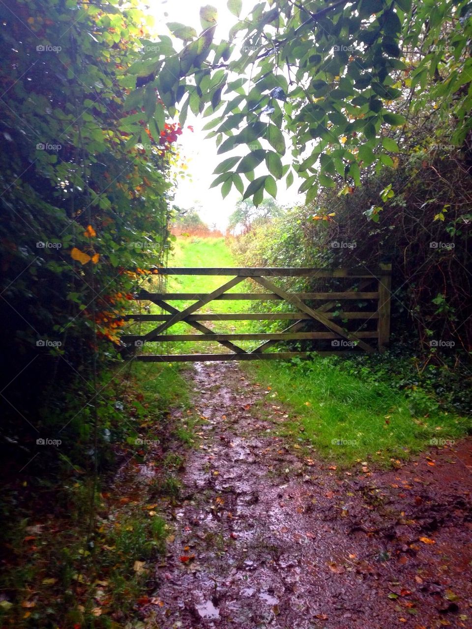 An English Country Gate