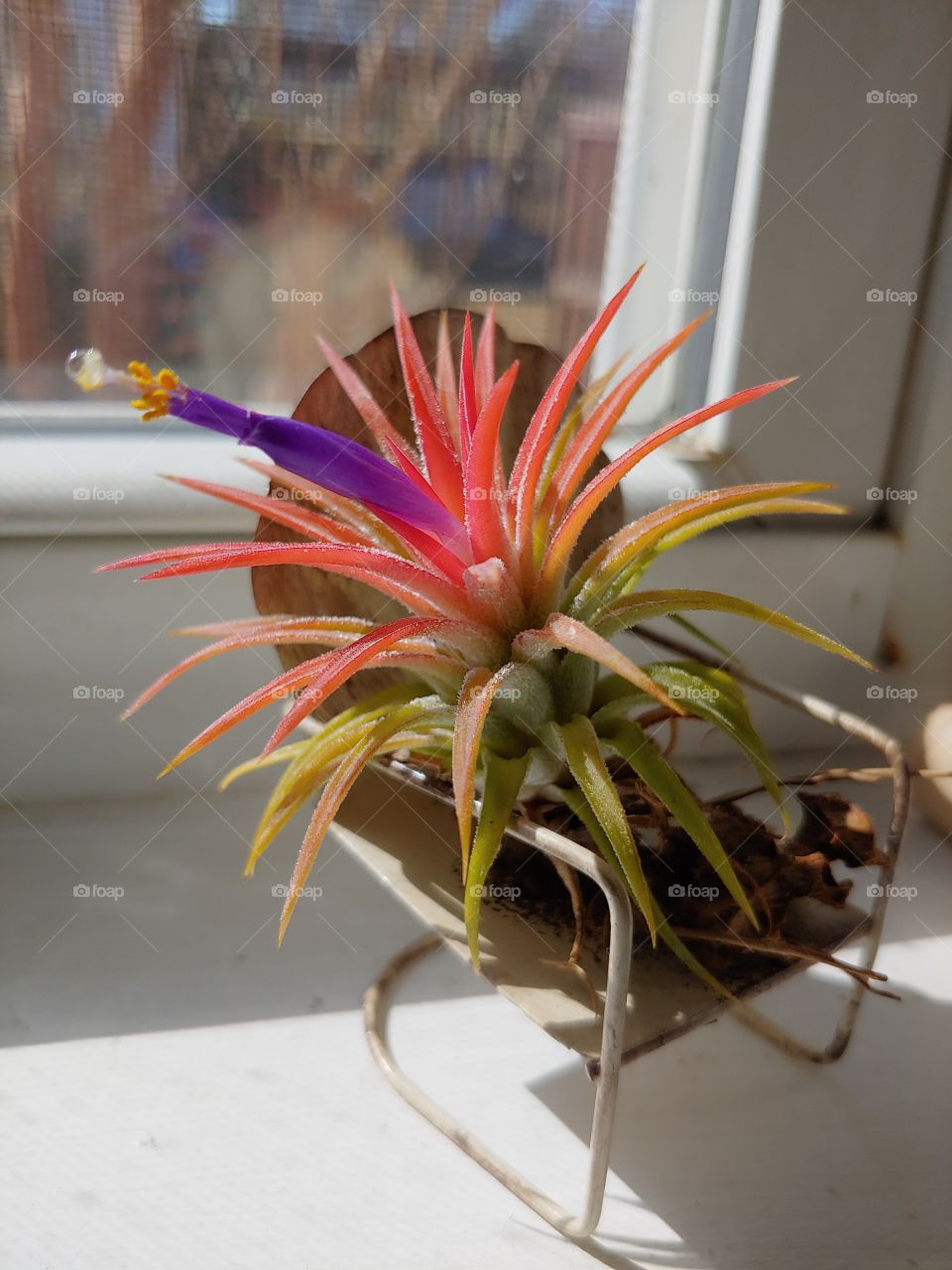 Just Soaking Up the Sun and Fresh Air