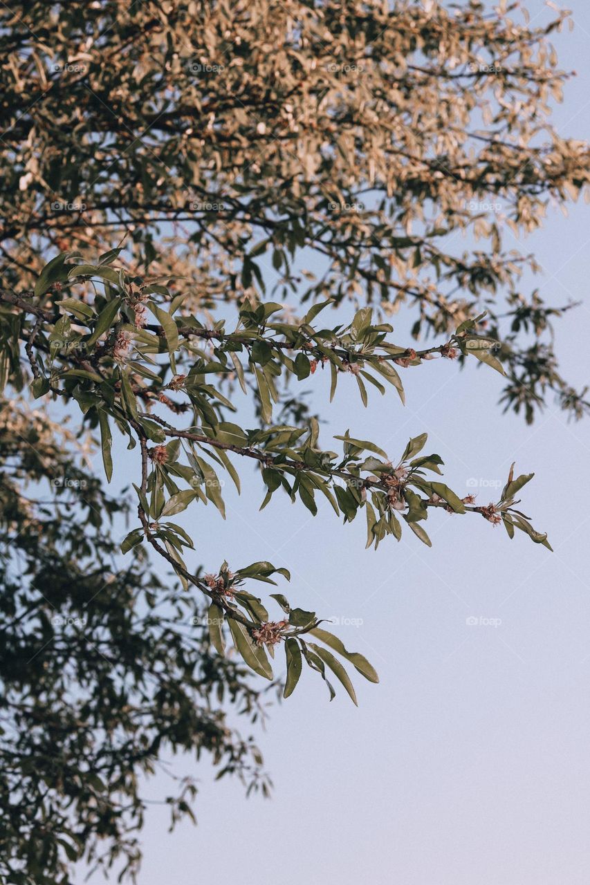 Dare to be different.  Each color in this photo will be experienced differently by each of us.  How beautiful life is.  Is it?