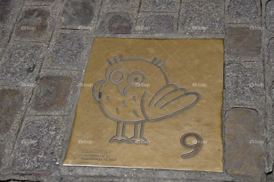 Owl - symbol of Dijon on the floor of Dijon