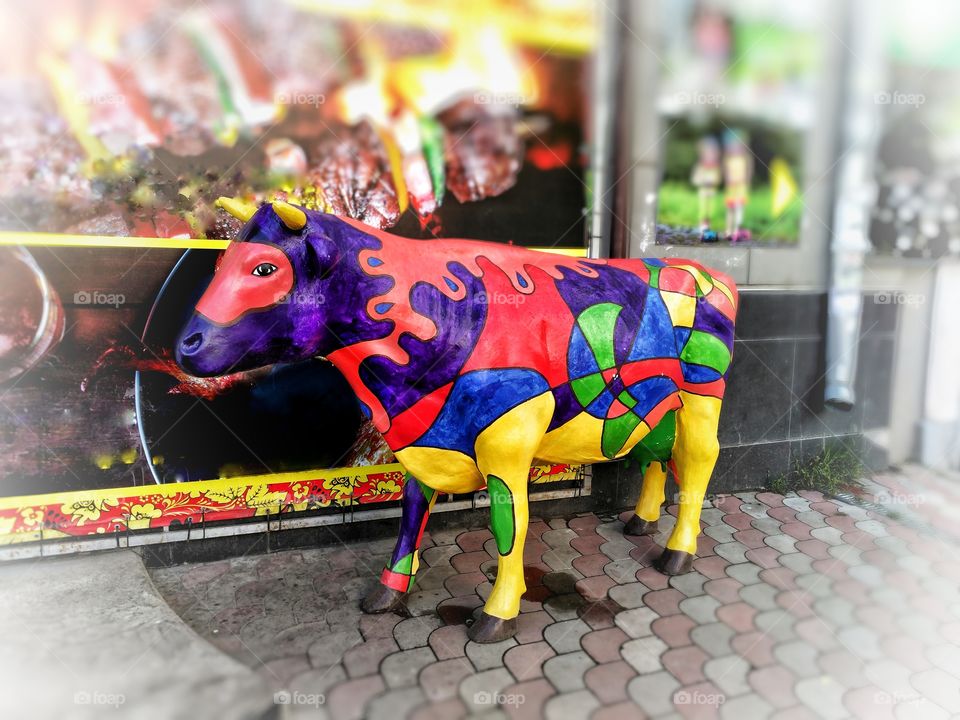 Colorful cow