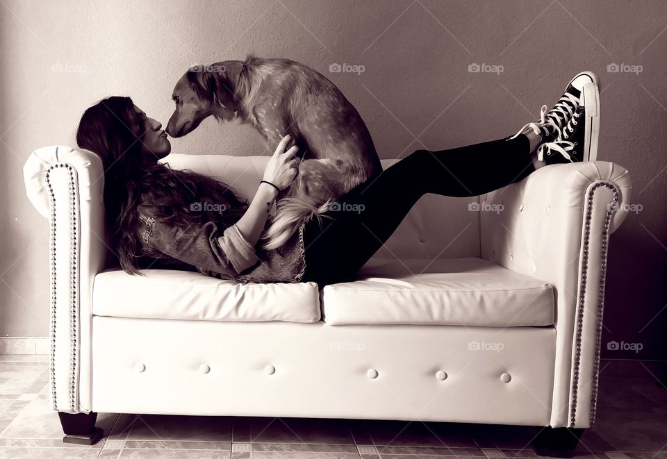 foto sofa con perro