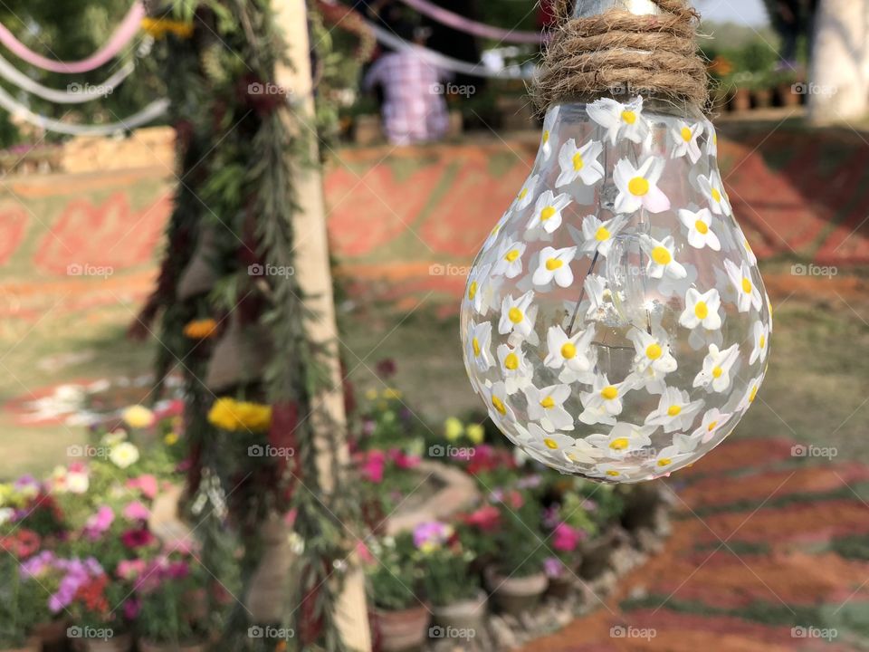 A portrait captured with iPhone 8 plus,Reusability of light bulbs filled with leaf and water. Focused on bulb with blurred background and flowers