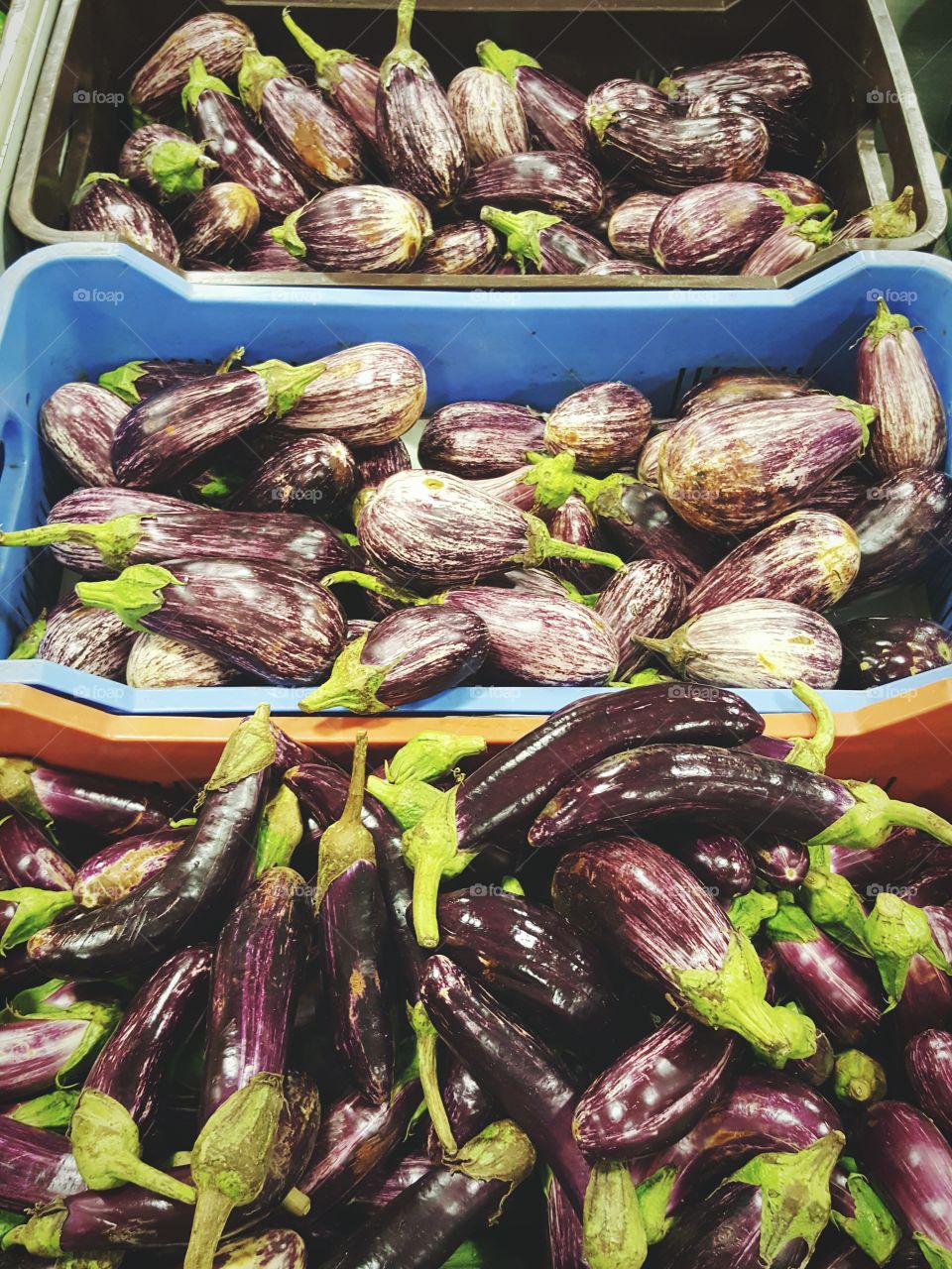 Aubergines at the market