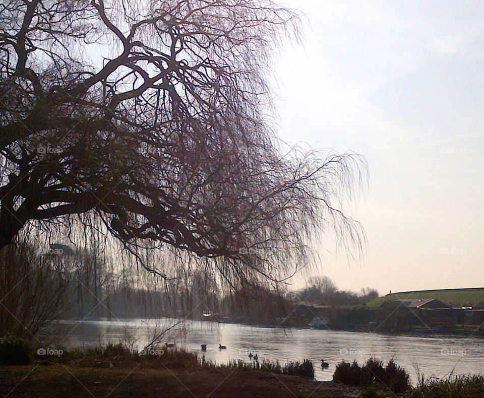 River Thames in winter