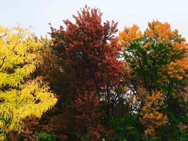 Autumn 