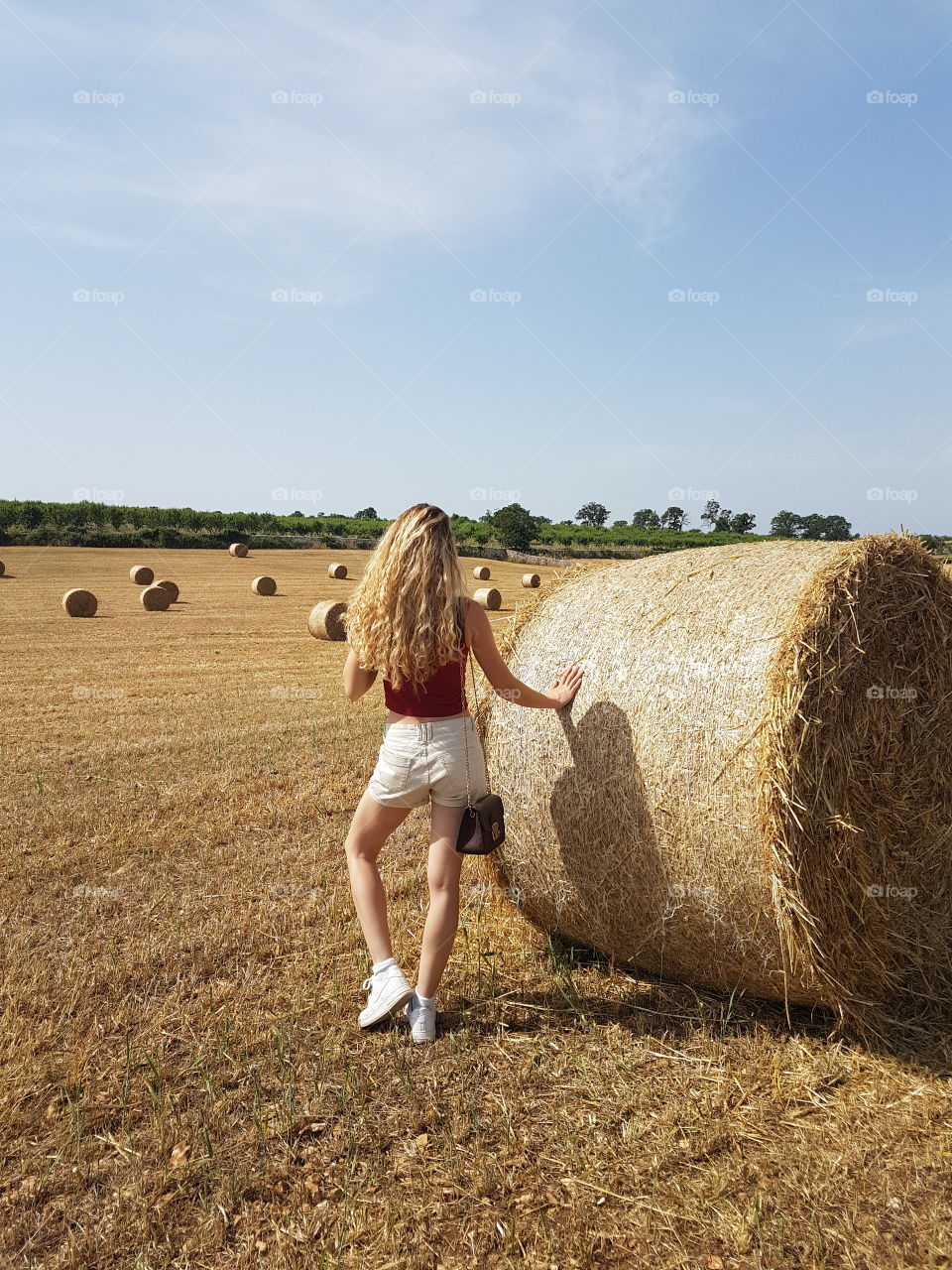 puglia fields
