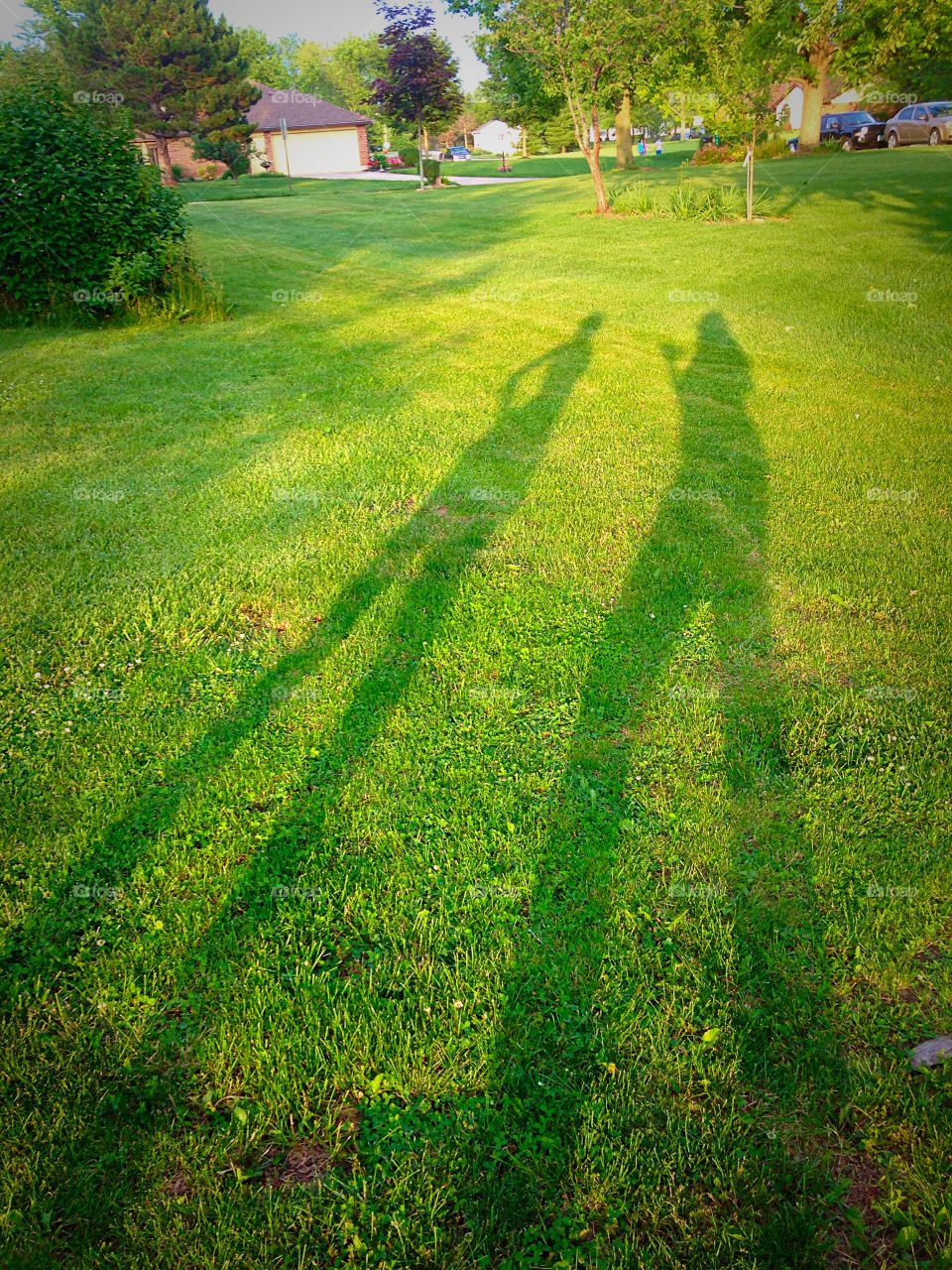 Sunset shadows . Mom and daughter shadows at sunset