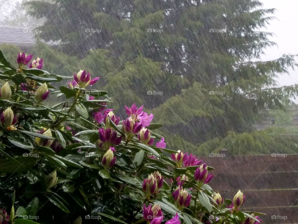 pouring rain during the storm