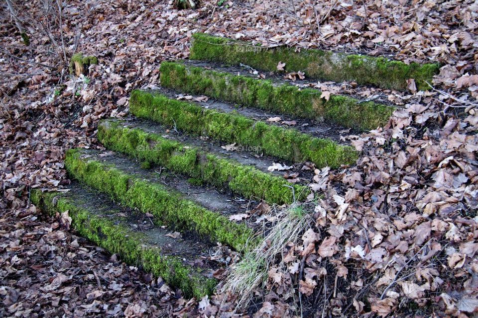 Stone stairs 