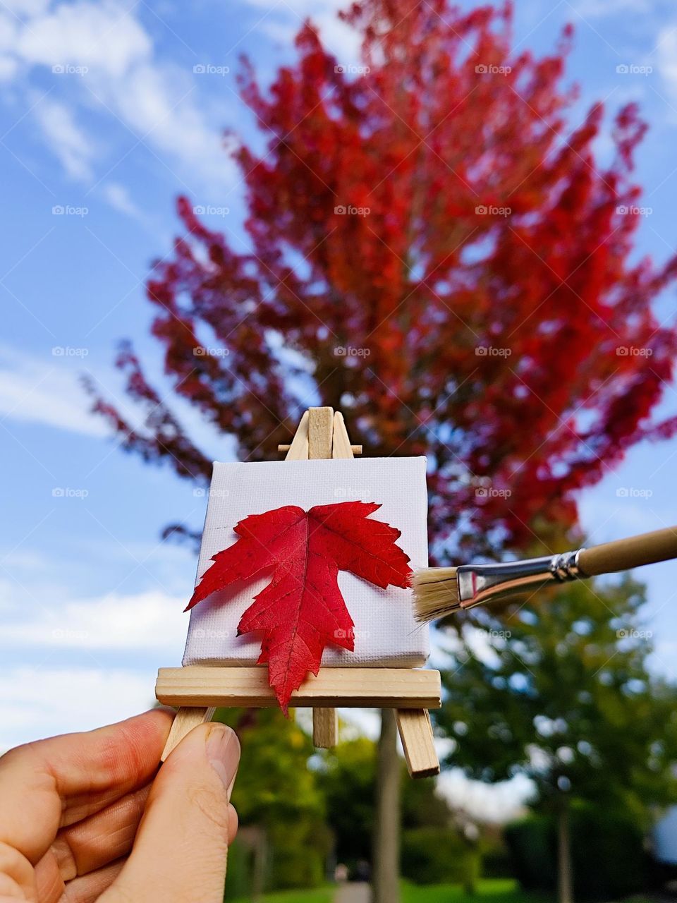 Autumn creativity