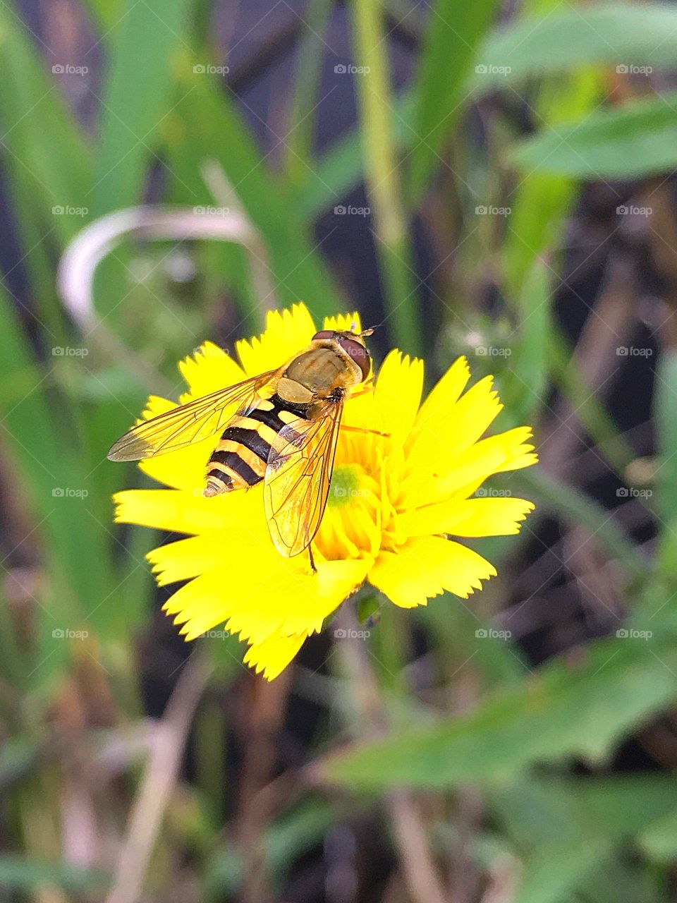 Captured with iPhone 6s Plus 