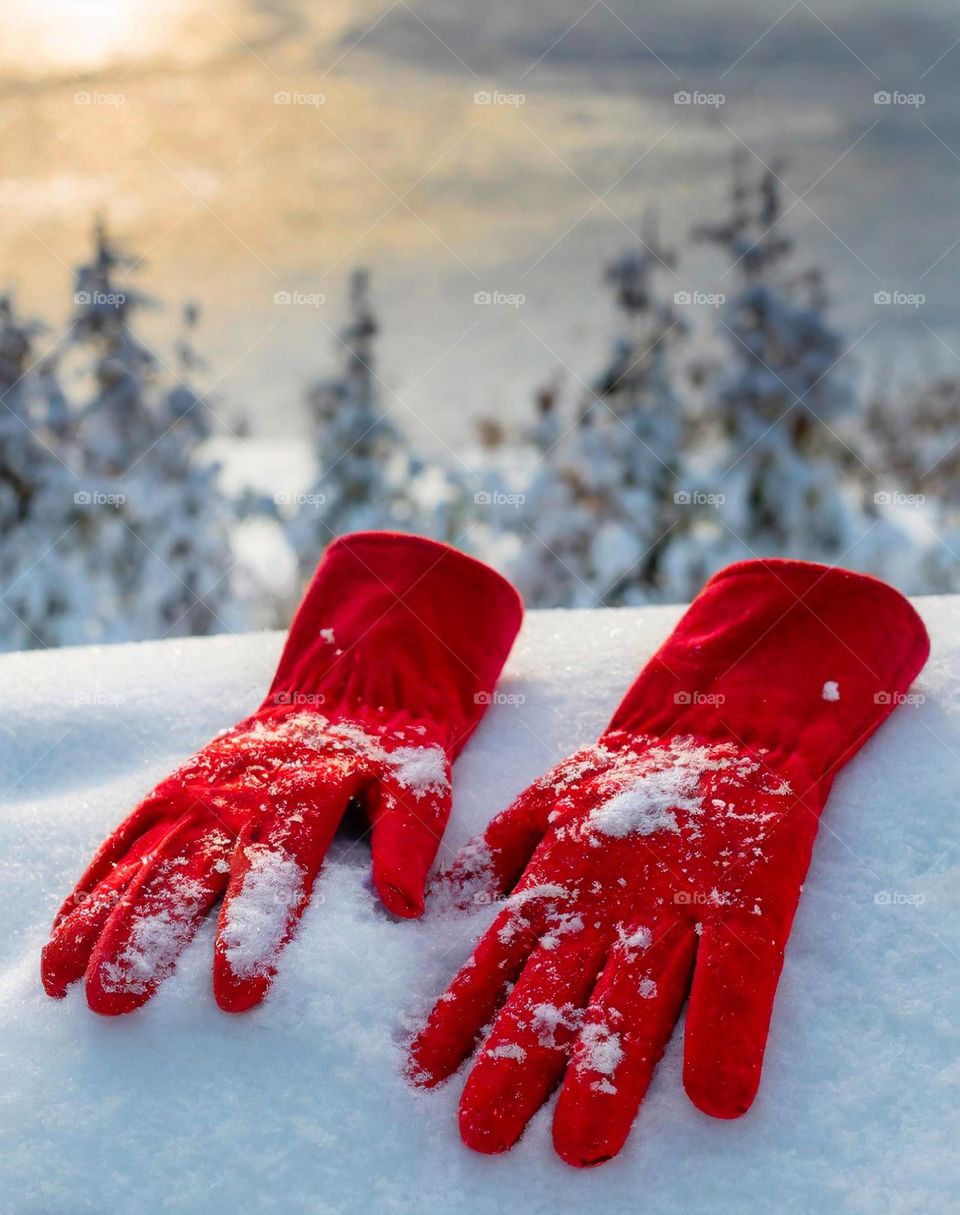 hand holding a red heart