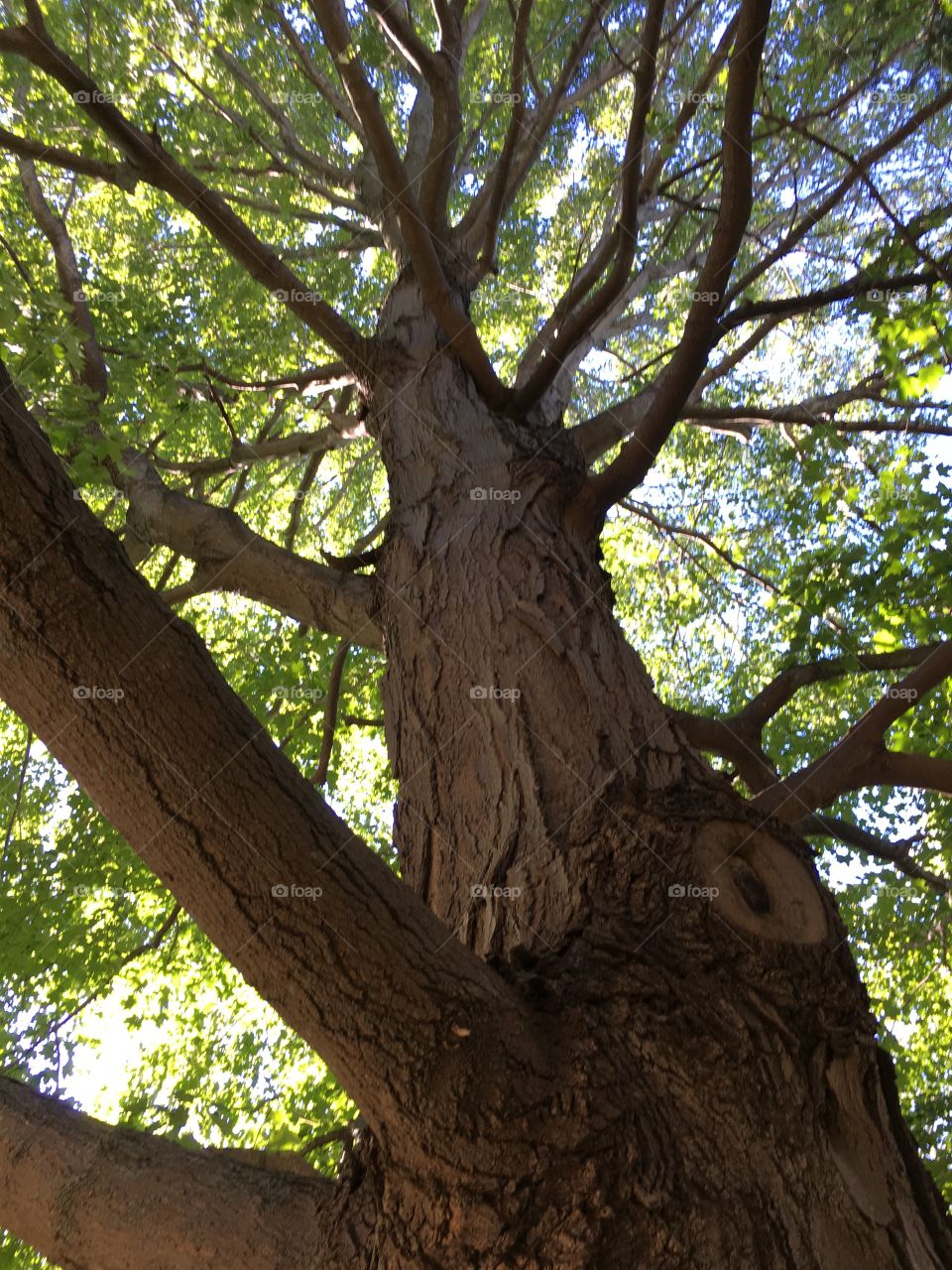 Looking up 