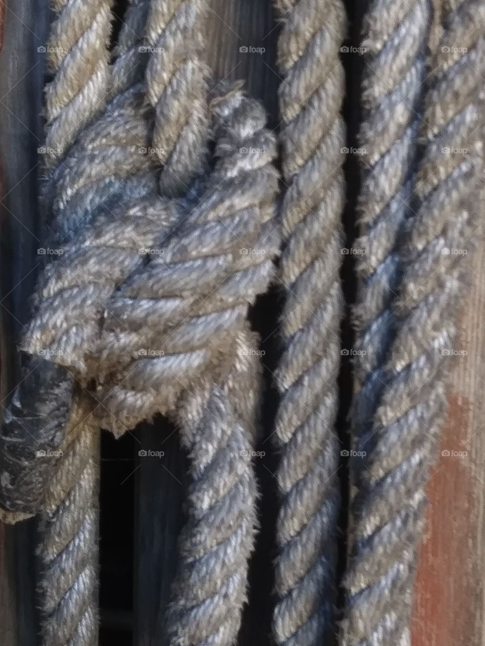 knots that bind