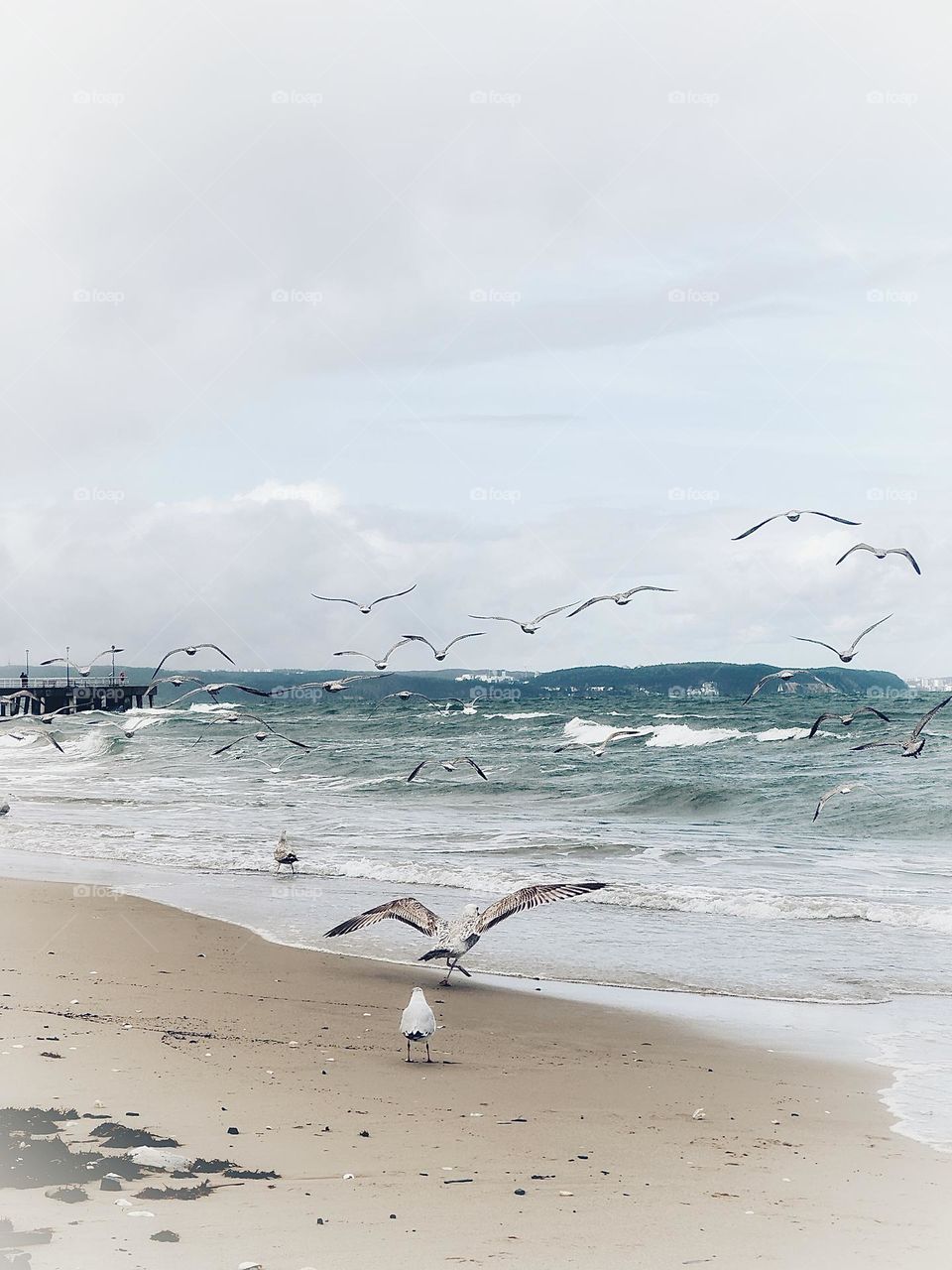 Come fly with me 🪽