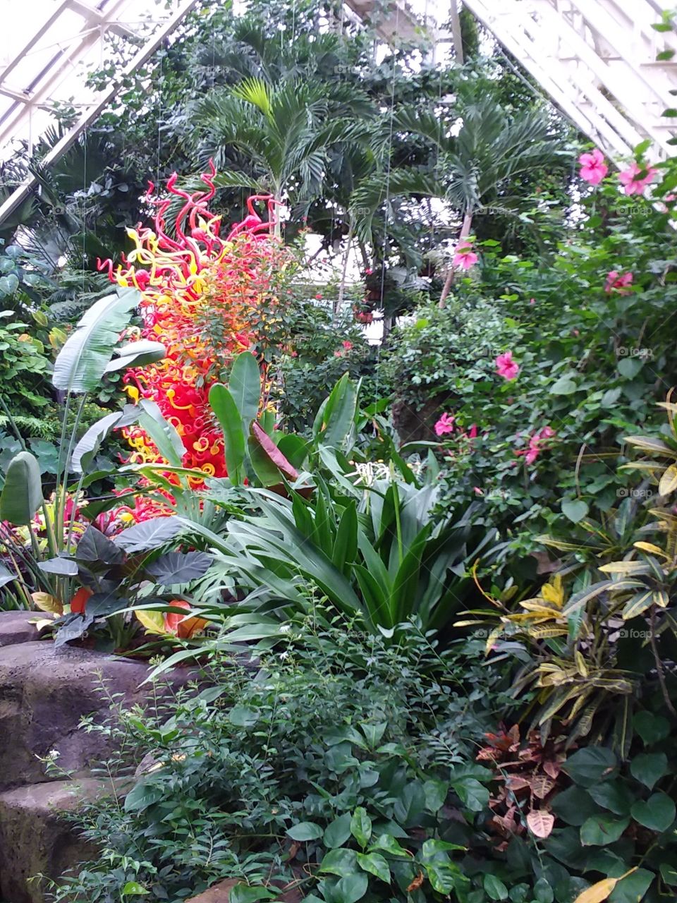 orange glass jungle plants