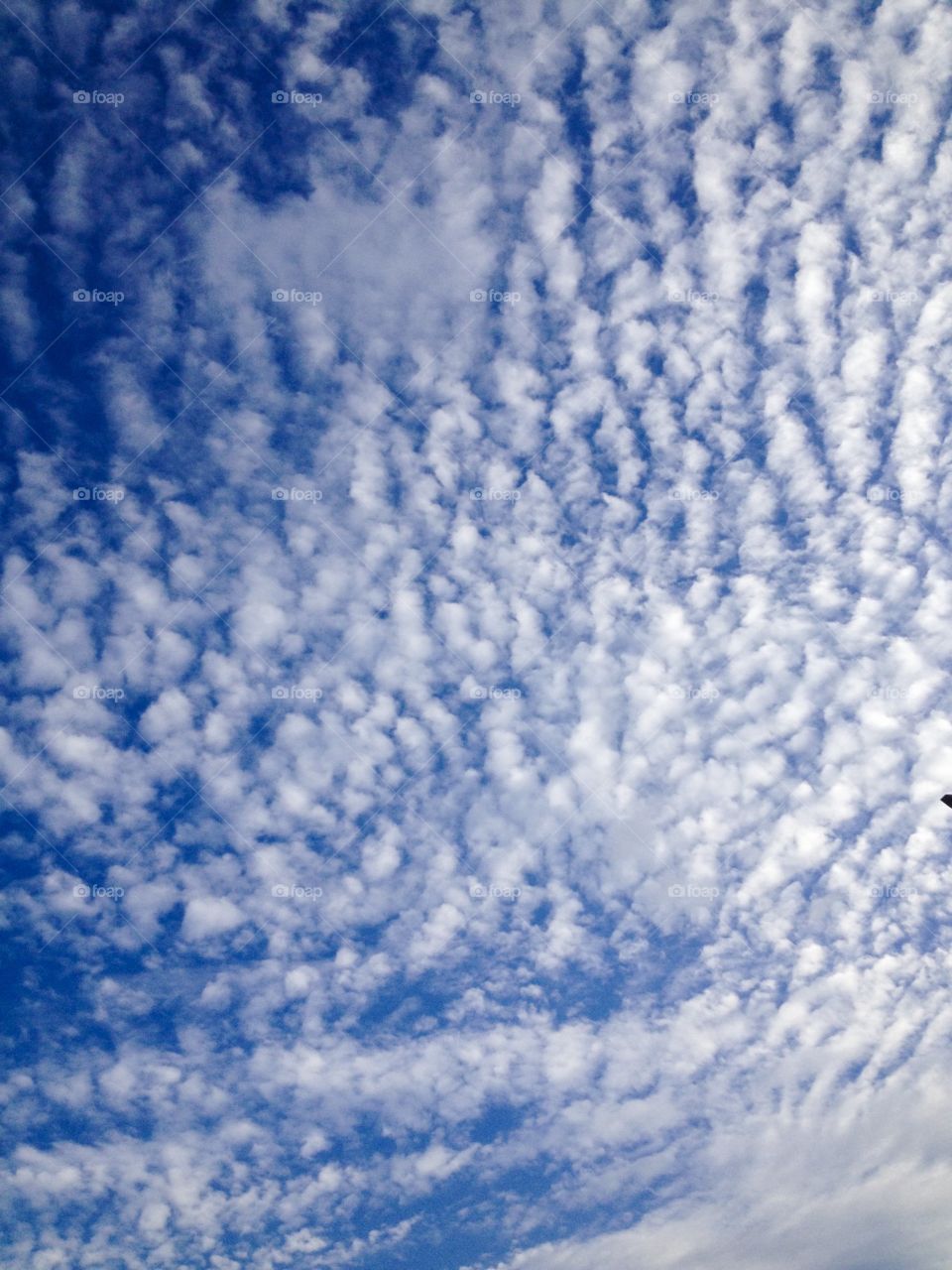 Versão limpa de um céu azul com fragmentos de uma nuvem limpa 