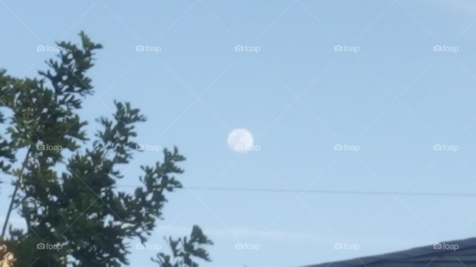 Moonrise over my House