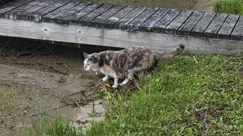 My lil one likes her fresh water from Lake Ann MI