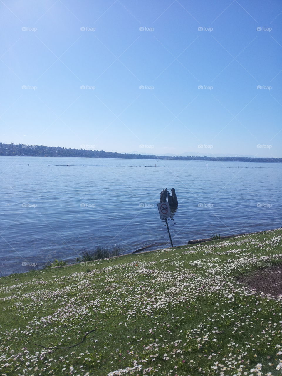 Park day. just a sunny day in Seattle