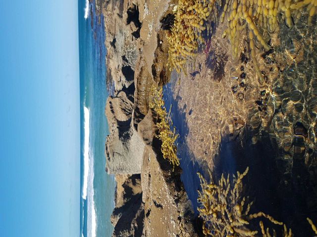 Rocks and Sea