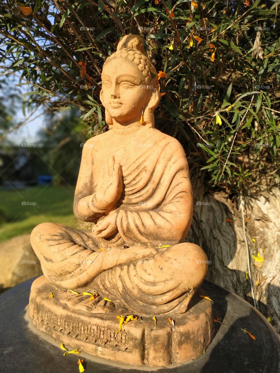 beautiful photo in Buddha